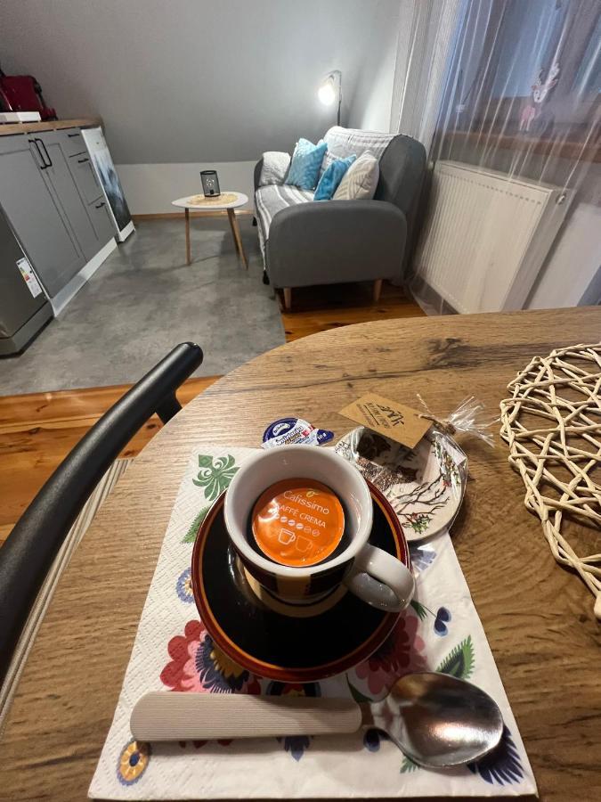 Przy Stoku I Potoku Apartment วีสวา ภายนอก รูปภาพ