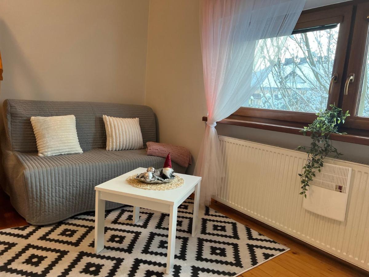 Przy Stoku I Potoku Apartment วีสวา ภายนอก รูปภาพ