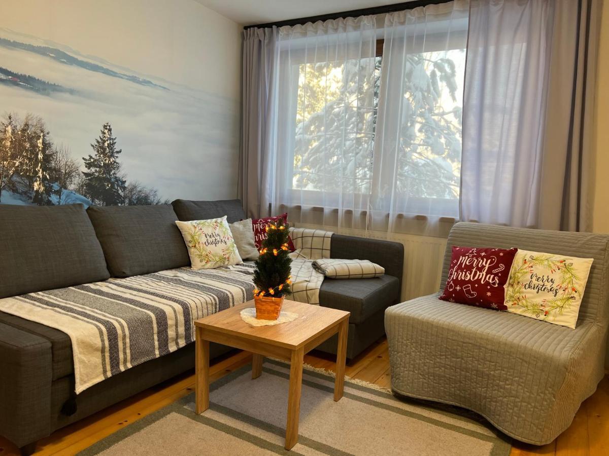 Przy Stoku I Potoku Apartment วีสวา ภายนอก รูปภาพ