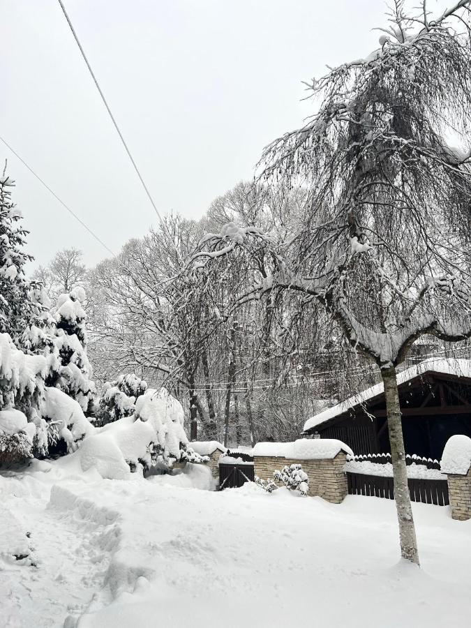 Przy Stoku I Potoku Apartment วีสวา ภายนอก รูปภาพ