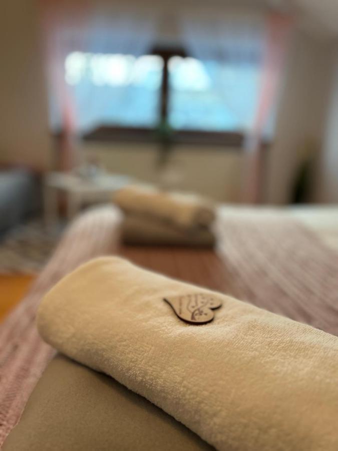 Przy Stoku I Potoku Apartment วีสวา ภายนอก รูปภาพ