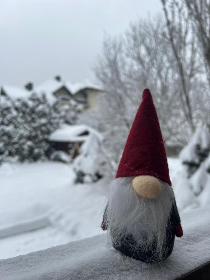 Przy Stoku I Potoku Apartment วีสวา ภายนอก รูปภาพ