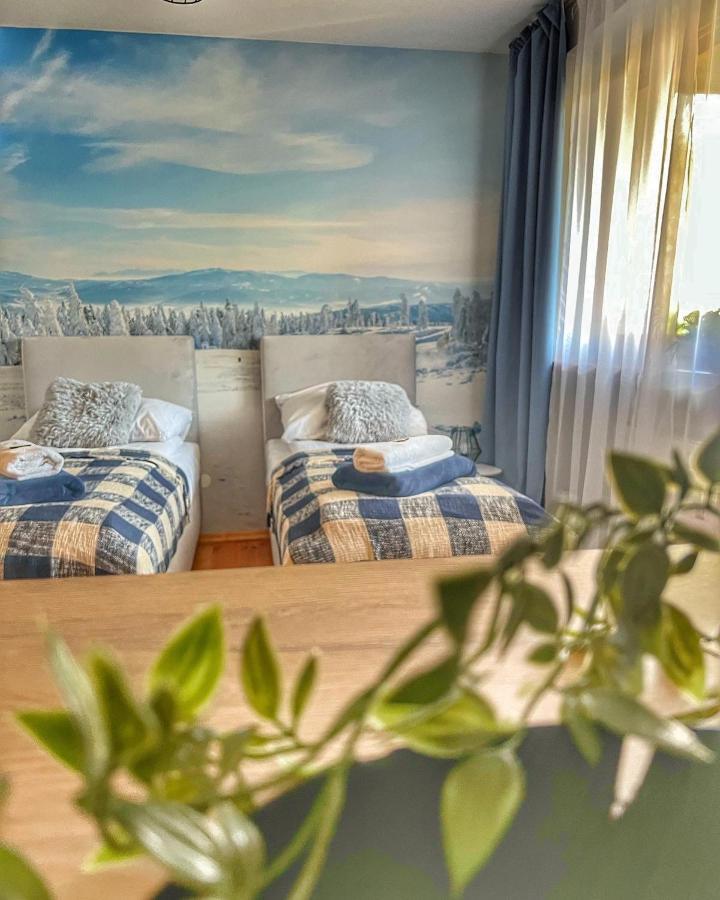 Przy Stoku I Potoku Apartment วีสวา ภายนอก รูปภาพ