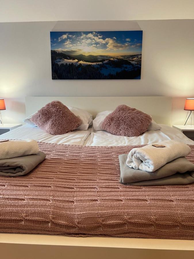 Przy Stoku I Potoku Apartment วีสวา ภายนอก รูปภาพ