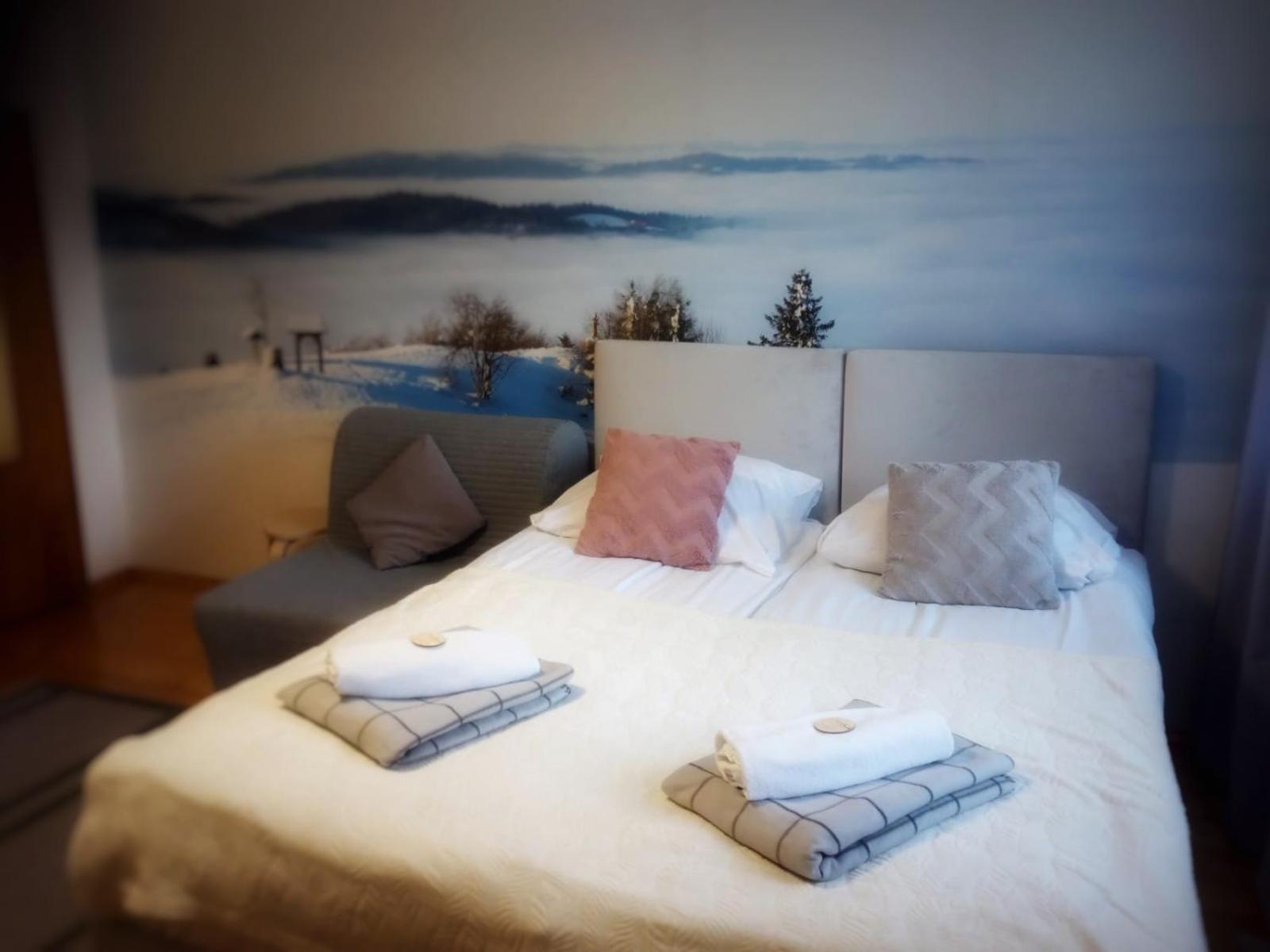 Przy Stoku I Potoku Apartment วีสวา ภายนอก รูปภาพ